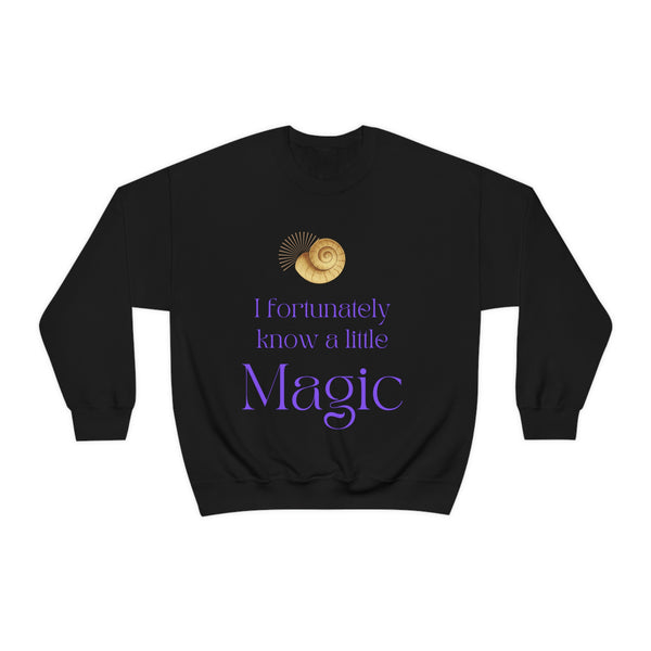 A little Magic crew neck Sweatshirt