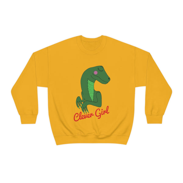 Clever girl sweater