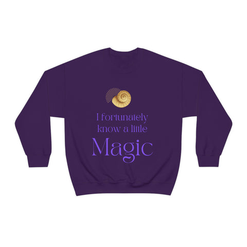 A little Magic crew neck Sweatshirt