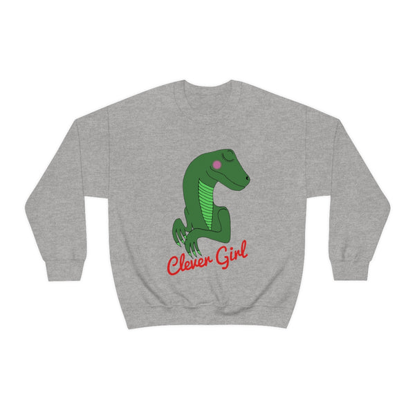 Clever girl sweater
