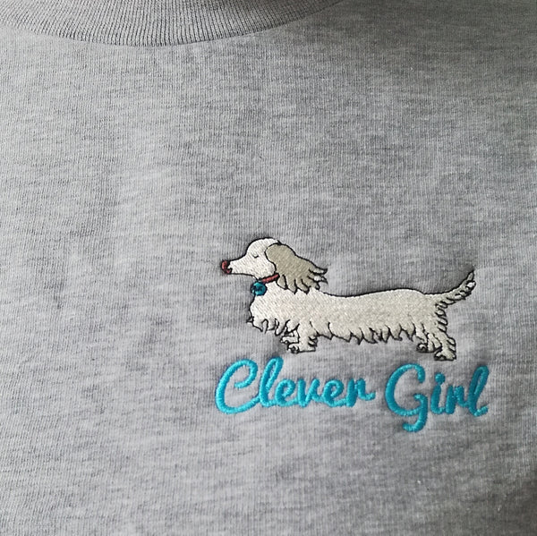 Clever Girl sweater