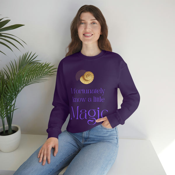 A little Magic crew neck Sweatshirt